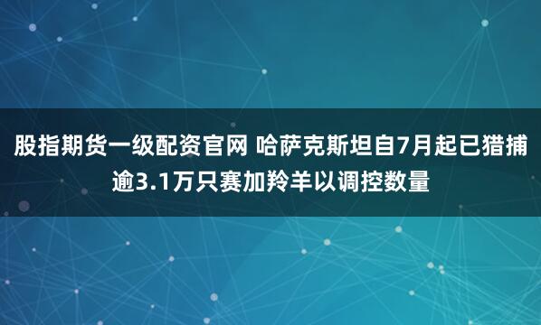 股指期货一级配资官网 哈萨克斯坦自7月起已猎捕逾3.1万只赛加羚羊以调控数量
