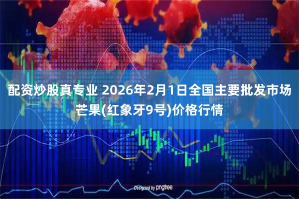 配资炒股真专业 2026年2月1日全国主要批发市场芒果(红象牙9号)价格行情