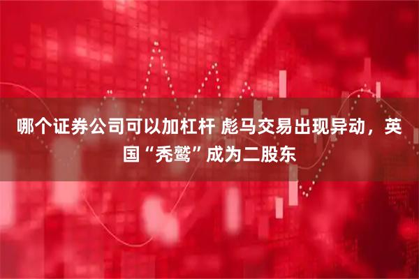 哪个证券公司可以加杠杆 彪马交易出现异动，英国“秃鹫”成为二股东