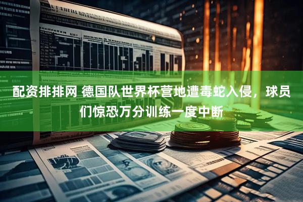 配资排排网 德国队世界杯营地遭毒蛇入侵，球员们惊恐万分训练一度中断